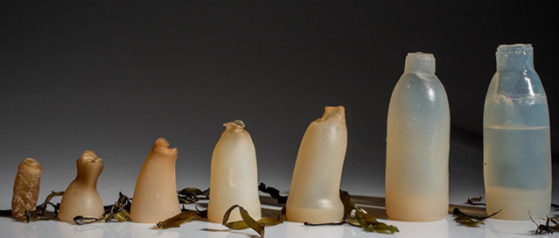 biodegradable-algae-water-bottle-ari-jonsson-5