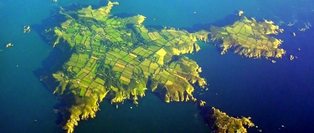 insula