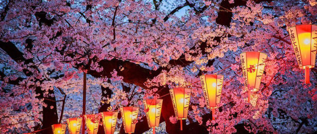 primavera-flores-cerezo-sakura-japon-national-geographic-13