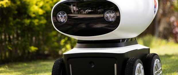 robotul