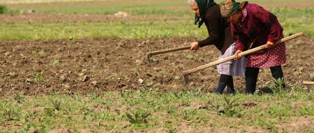 Elderly women work their field near Bucharest, Romania
