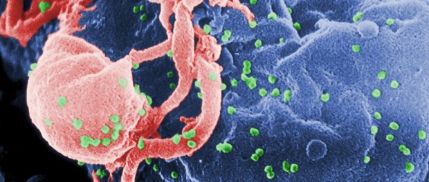 virusi