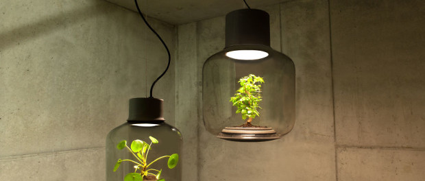 we-designed-these-lamps-to-grow-plants-in-windowless-spaces-5__880