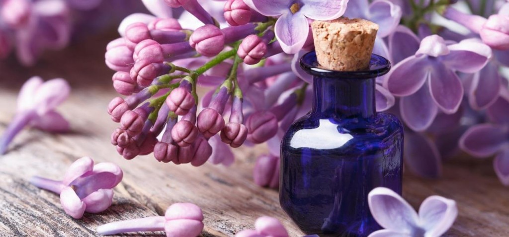 Benefits-Of-Lilac-Essential-Oil