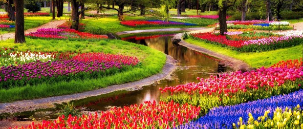 Keukenhof Gardens Desktop Background