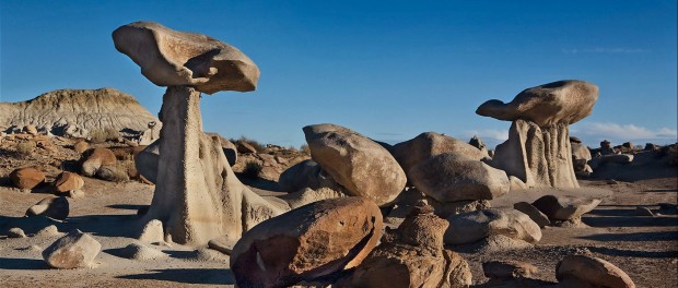 bisti crop