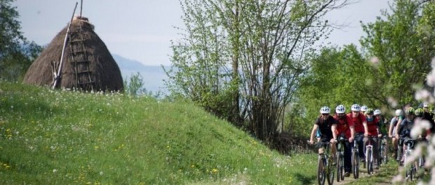 drumul verde