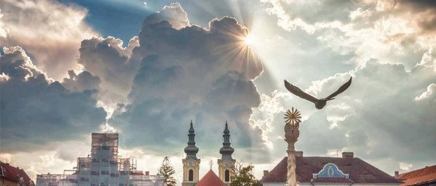 foto timisoara