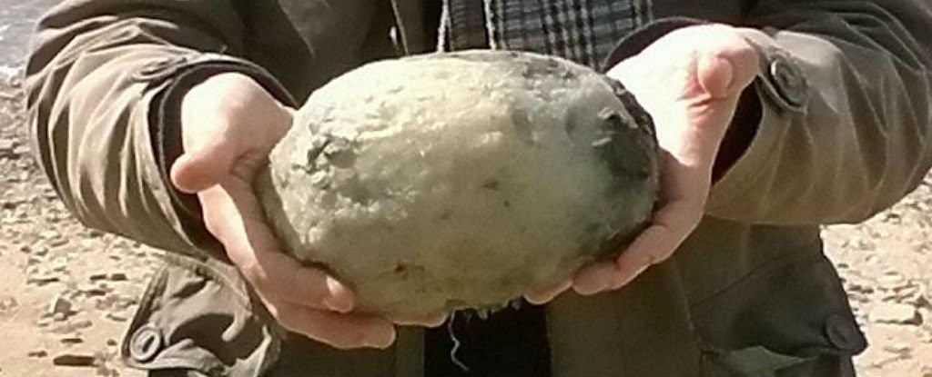 voma