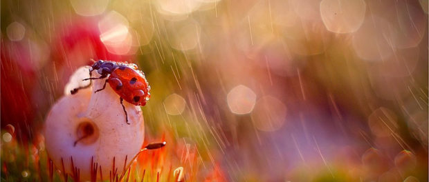 In-My-Wonderland-5729ef80a783f__880
