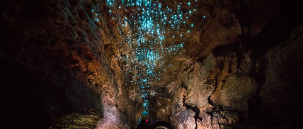 Ruakuri_Glowworms_Waitomo-SJP-11-5743b1b365b34__880