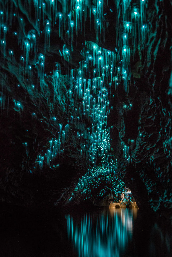 Ruakuri_Glowworms_Waitomo-SJP-6-5743b15b6ef7e__880