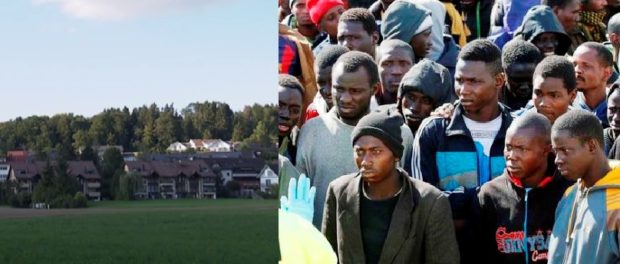 elvetia imigranti