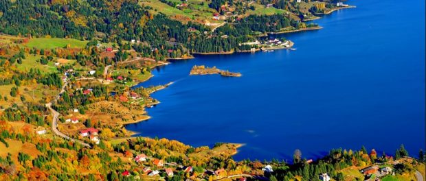 colibita 5