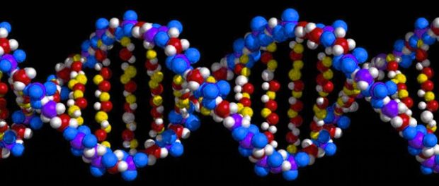 gene2