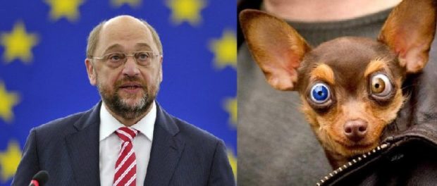 martin catel