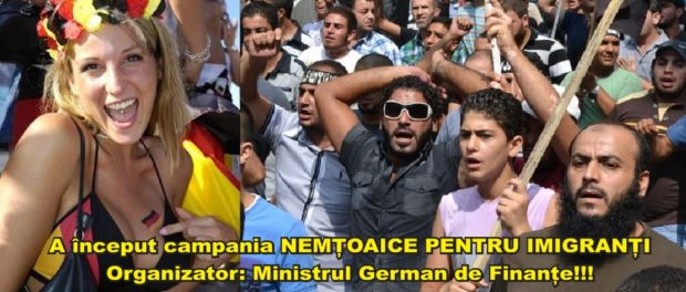 nemtoaice pt imigranti