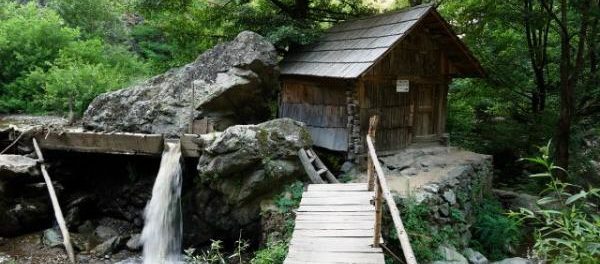large_img_24