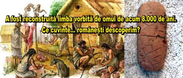 limba straveche