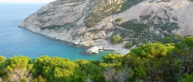 monte3
