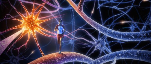neurostiinta