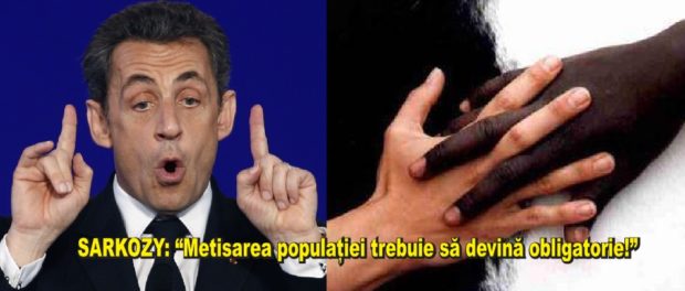 sarkozy metisare