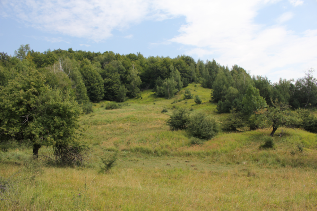 Buzau 11