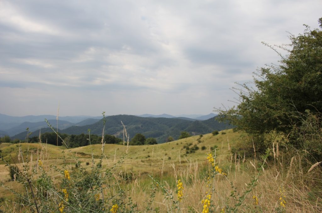 Buzau 5