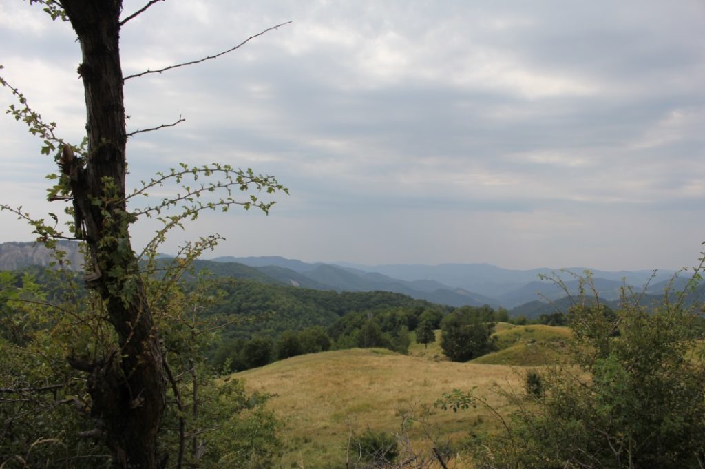 Buzau 7