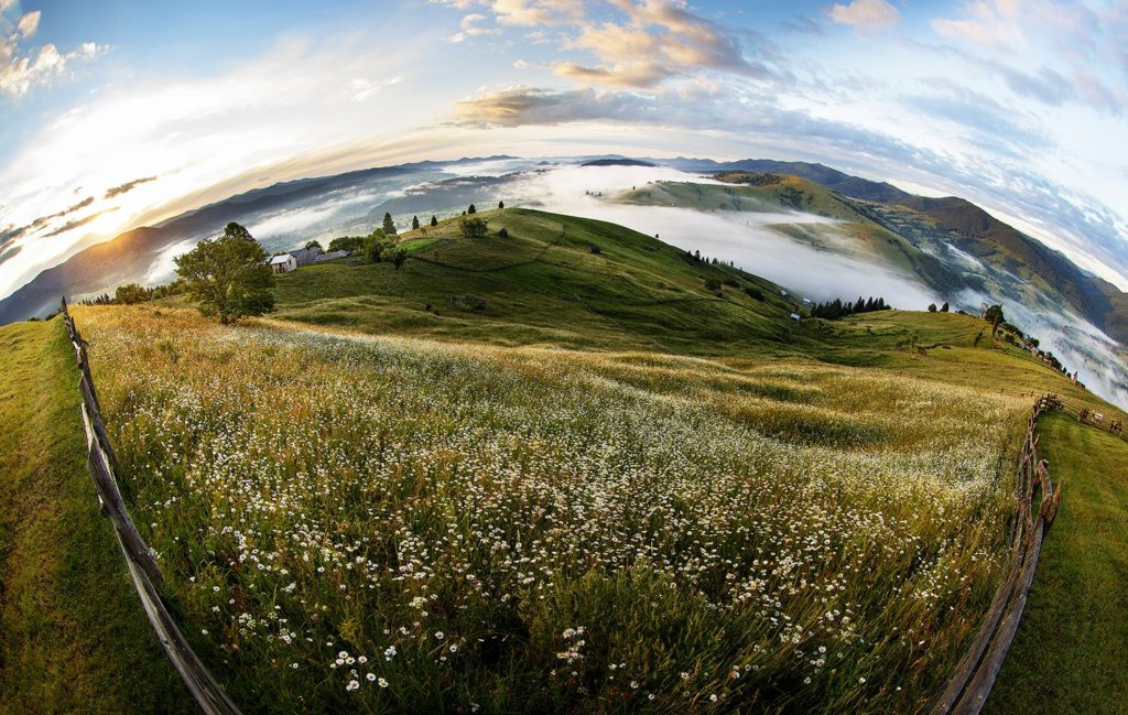 Sorin Onisor 1