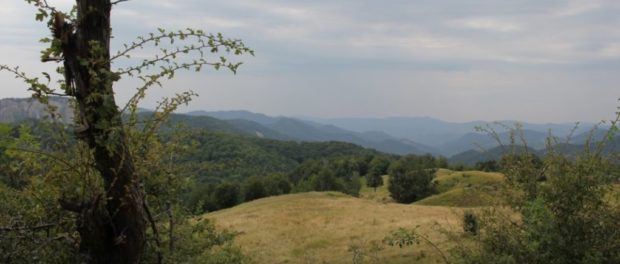 buzau 0