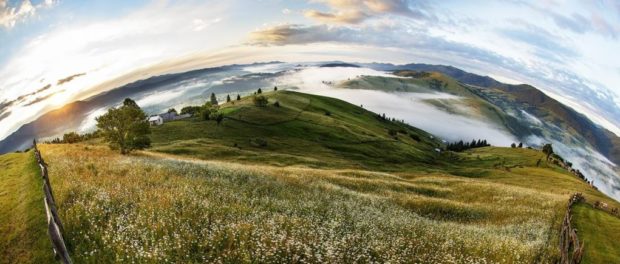 sorin onisor 2