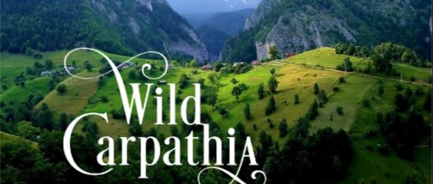 wild-carpathia