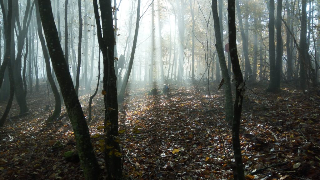 img_20161024_112830