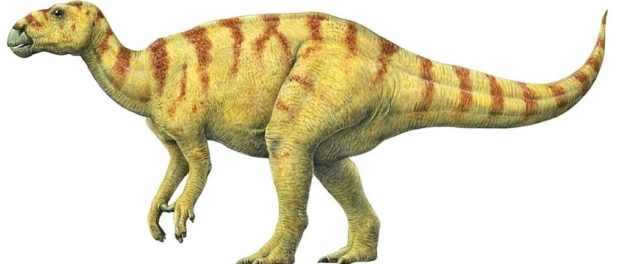 dinozaur