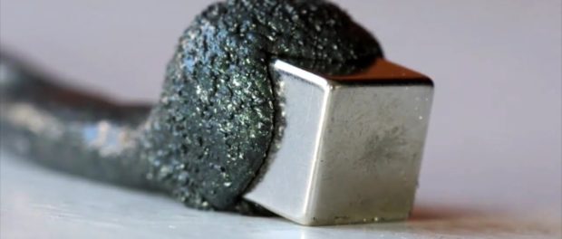 magnet22