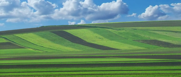 pamant-agricol