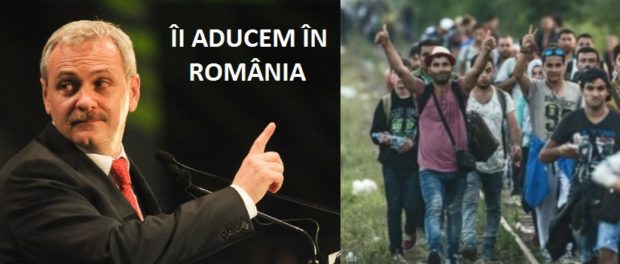 dragnea-imigranti