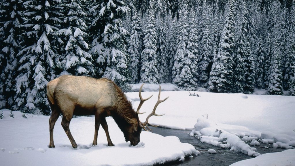 winter-10