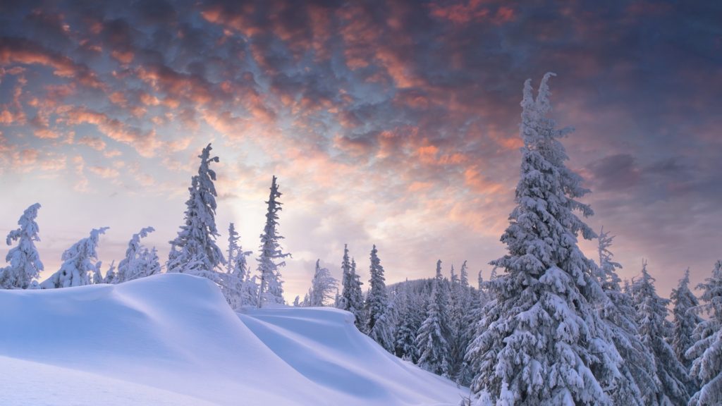 winter-11