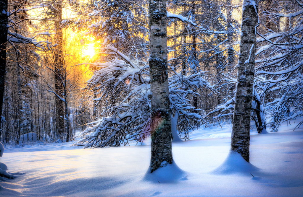 winter-12