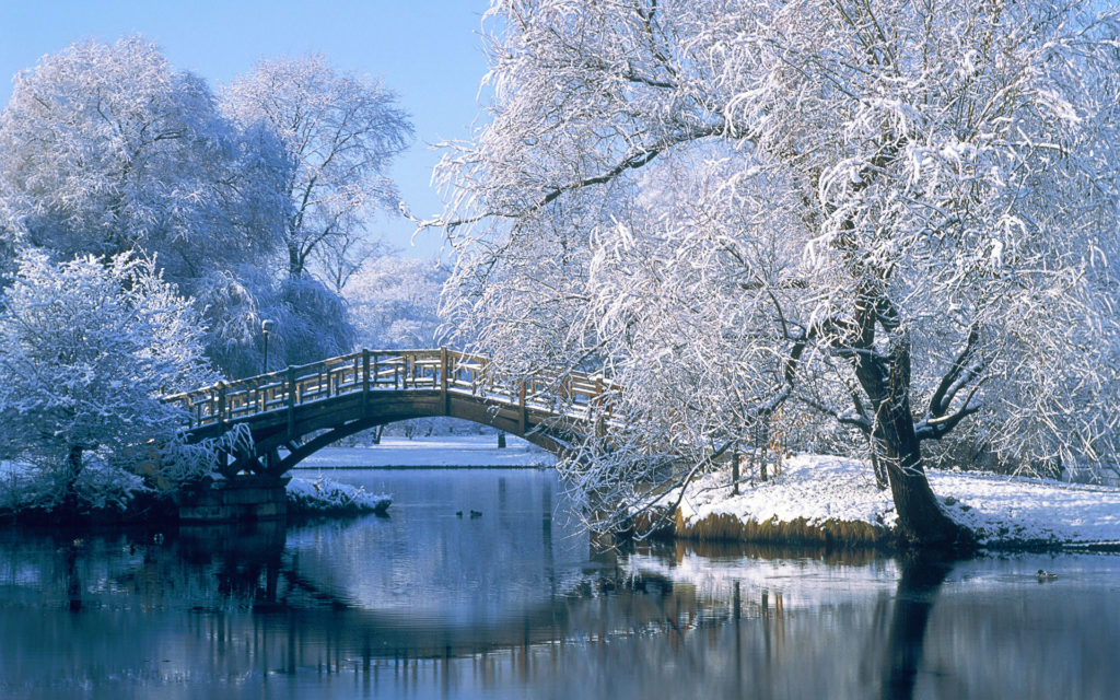 winter-9