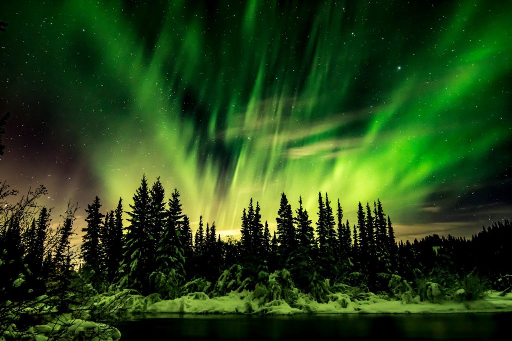 aurora-1