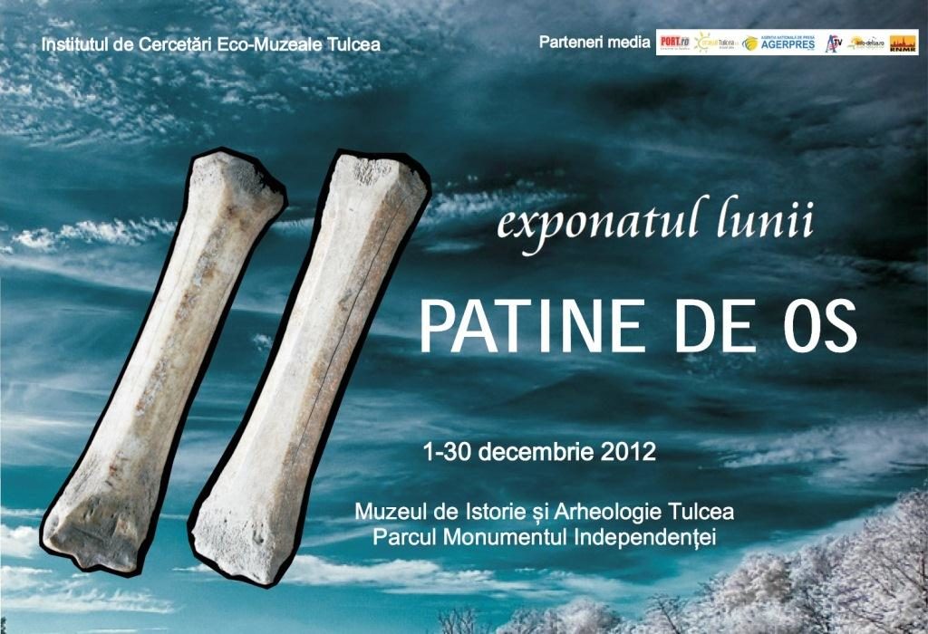 exponatul-lunii-decembrie