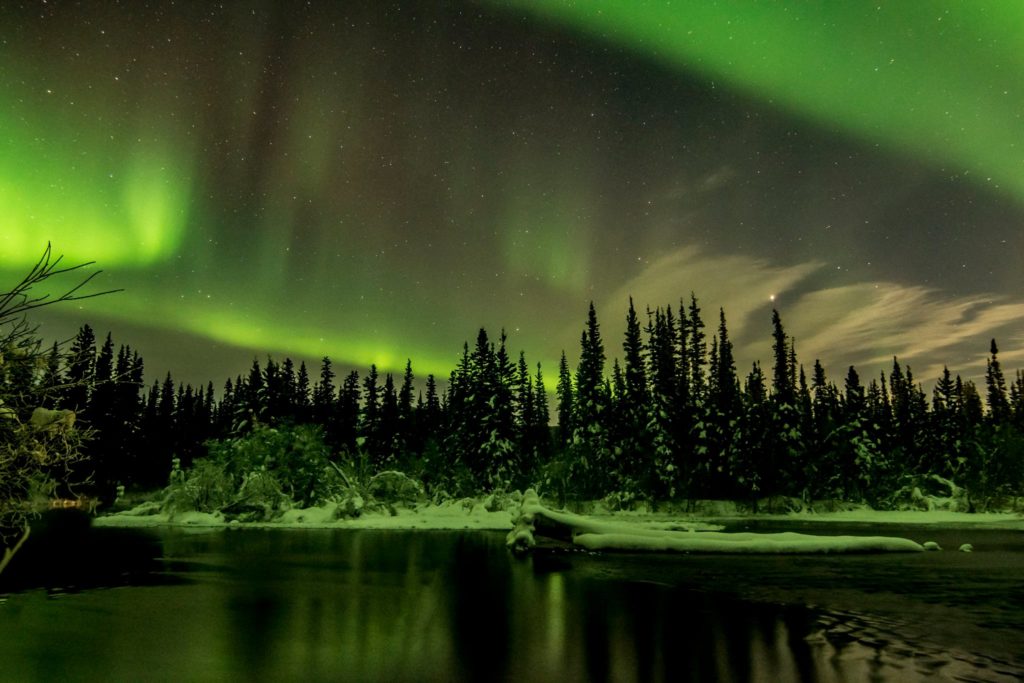 aurora-4