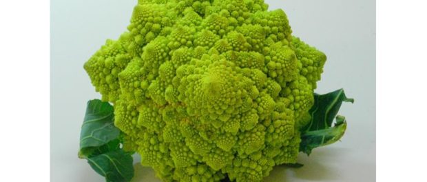 brocoli