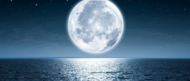 luna22