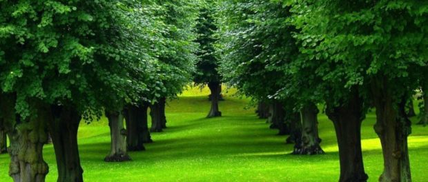aa