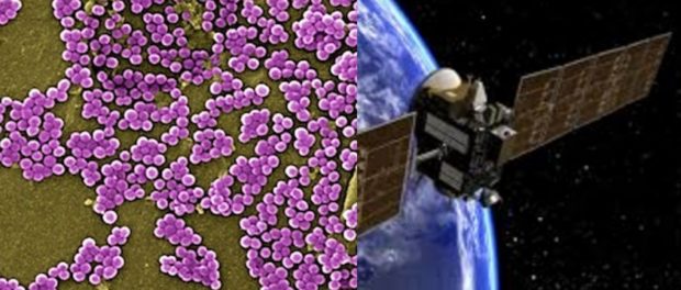 bacterie-in-spatiu