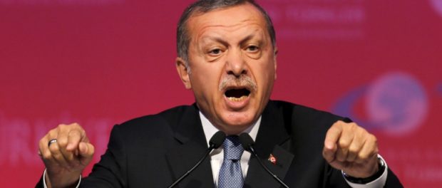 ERDOGAN 7
